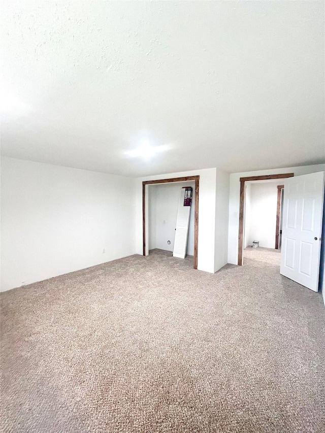 1807 1st St E, Polson, MT 59860 - finished below grade area with carpet floors