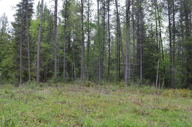 2931 Witty Ln, Columbia Falls, MT 59912