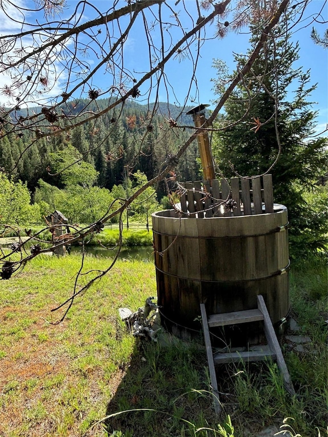 127 Lonely Moose Ln, Alberton, MT 59820 - view of yard
