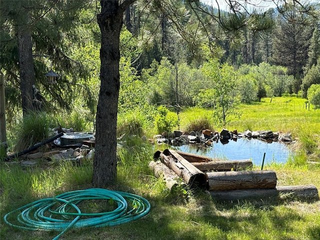 127 Lonely Moose Ln, Alberton, MT 59820 - view of yard with a view of trees
