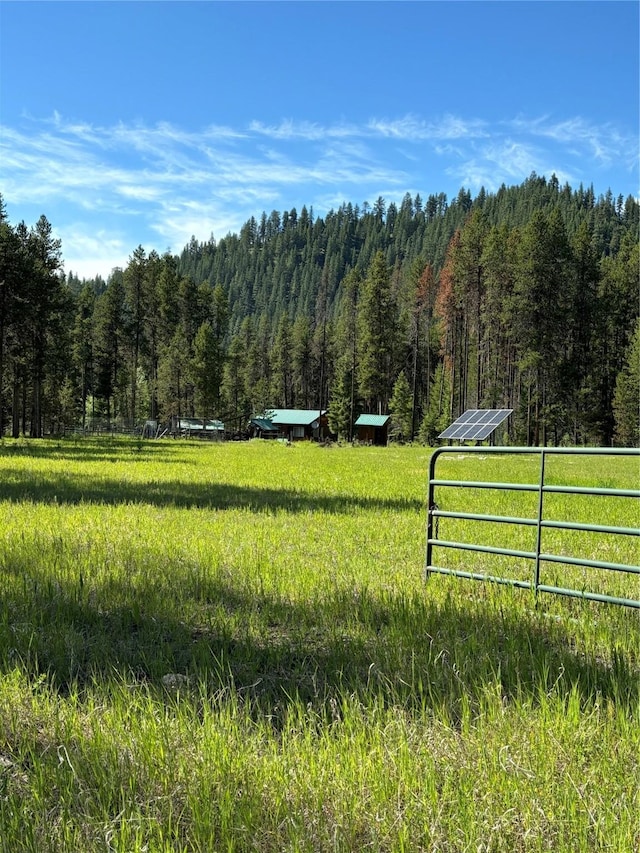 127 Lonely Moose Ln, Alberton, MT 59820 - view of yard featuring a wooded view