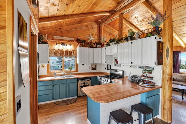 5 Lake Flat Ln, Great Falls, MT 59404 - kitchen with stainless steel gas range oven, wooden ceiling, a sink, a peninsula, and dishwasher