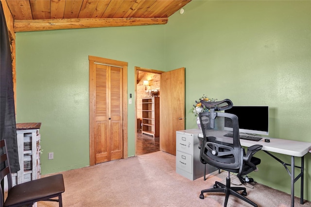 5 Lake Flat Ln, Great Falls, MT 59404 - office space with light carpet, vaulted ceiling, and wood ceiling