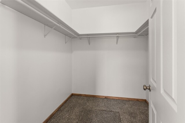 4452 Ludwig Ln, Stevensville, MT 59870 - walk in closet with carpet