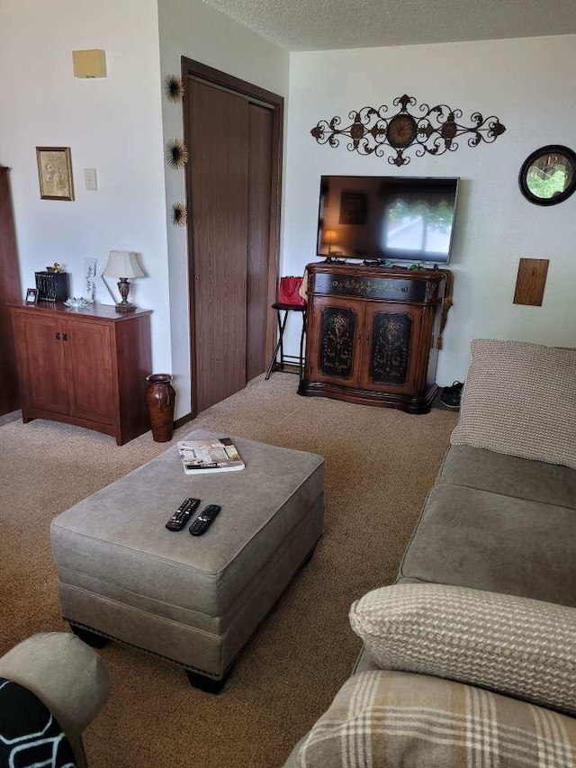 1345 S 2nd St W, Missoula, MT 59801 - living area with carpet floors