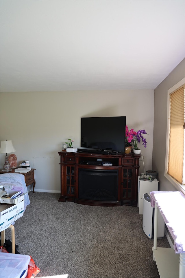 507 2nd St, Valier, MT 59486 - living area with carpet floors