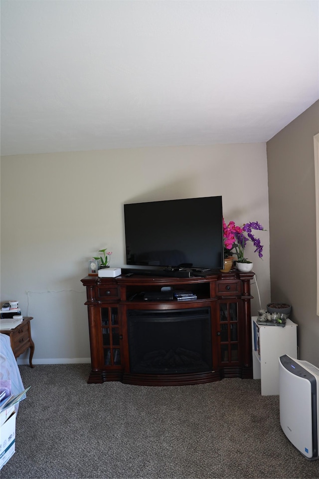 507 2nd St, Valier, MT 59486 - view of carpeted living room