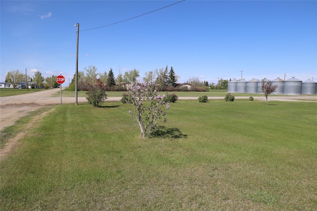 507 2nd St, Valier, MT 59486 - view of green lawn