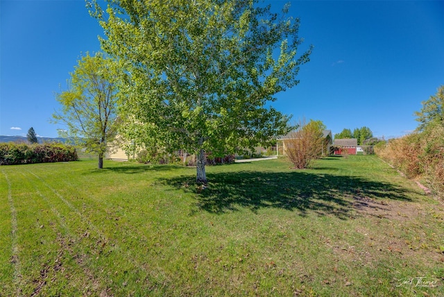 view of grassy yard