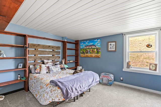 49 Embry Ln, Great Falls, MT 59404 - bedroom with carpet flooring