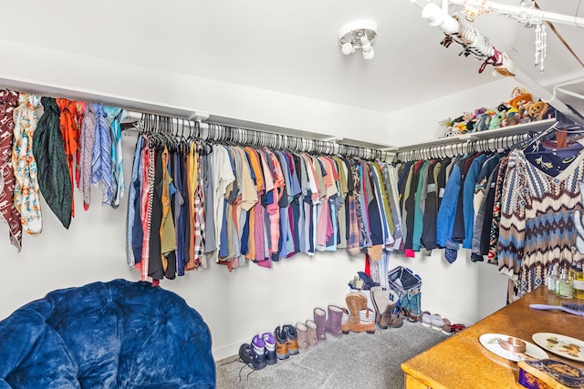 49 Embry Ln, Great Falls, MT 59404 - spacious closet with carpet flooring