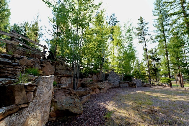237 N Monture Ct, Seeley Lake, MT 59868 - view of yard