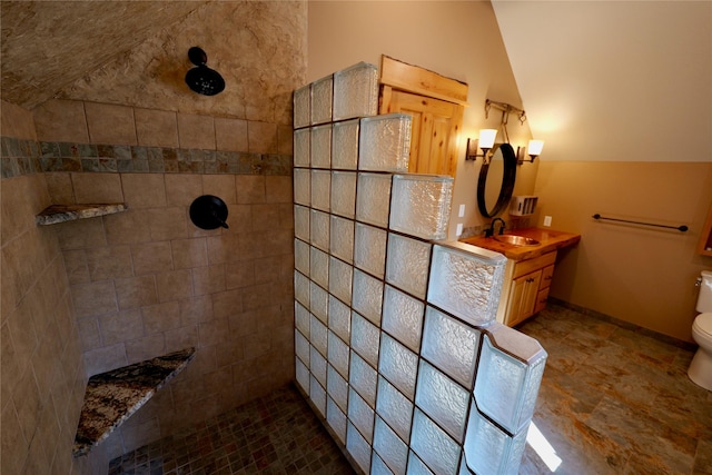 237 N Monture Ct, Seeley Lake, MT 59868 - bathroom featuring vaulted ceiling, a walk in shower, and vanity