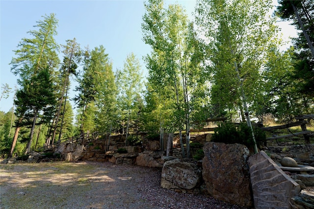 237 N Monture Ct, Seeley Lake, MT 59868 - view of yard