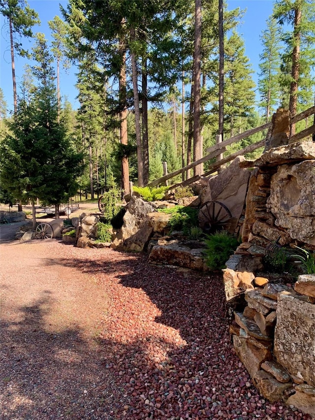 237 N Monture Ct, Seeley Lake, MT 59868 - view of yard