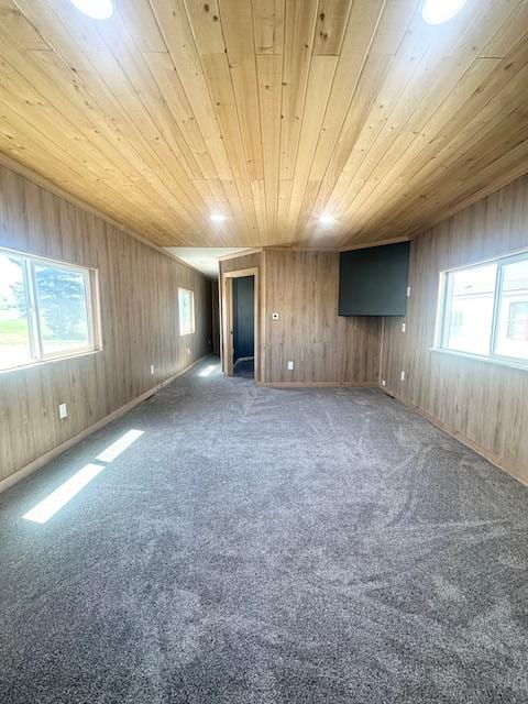 2900 S Montana St Unit 14, Butte, MT 59701 - carpeted empty room featuring wood ceiling, wood walls, and plenty of natural light