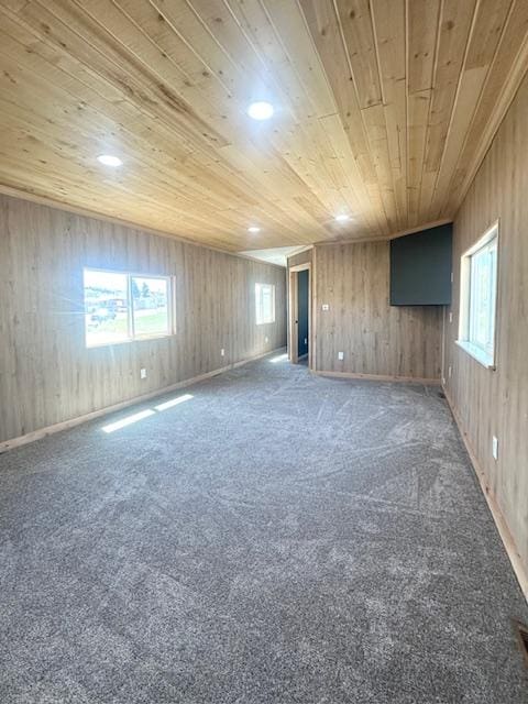 2900 S Montana St Unit 14, Butte, MT 59701 - carpeted spare room with wooden ceiling, healthy amount of natural light, and wooden walls
