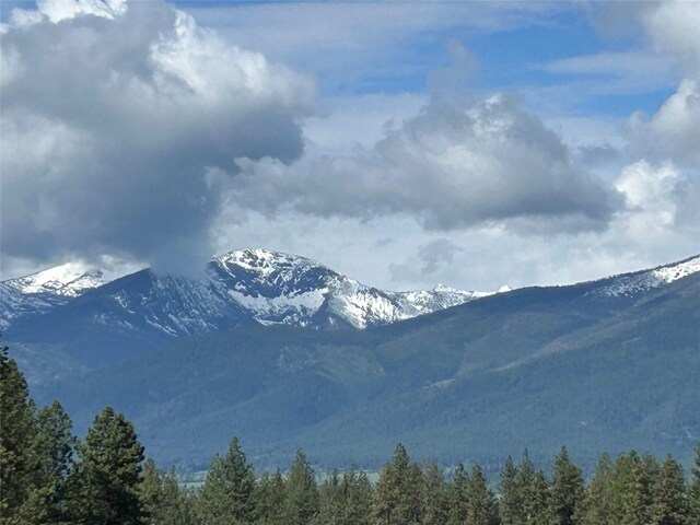 5061 Falcon Ln, Stevensville, MT 59870 - view of mountain background with a forest