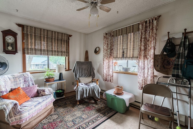 521 Clay St, Thompson Falls, MT 59873 - living area featuring ceiling fan, a textured ceiling, and carpet floors