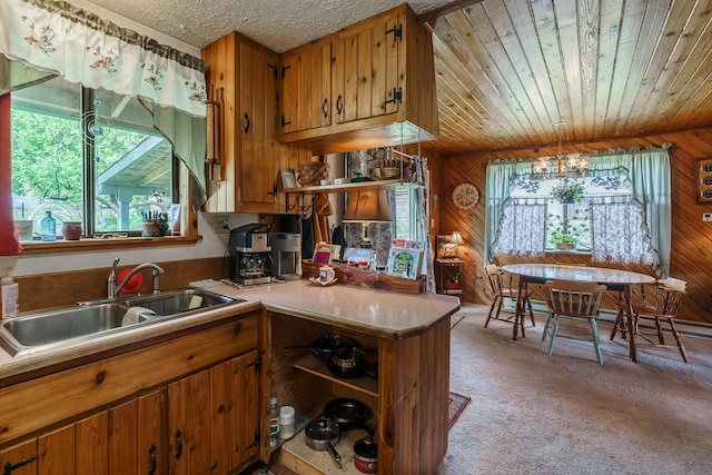 521 Clay St, Thompson Falls, MT 59873 - kitchen with a sink, brown cabinets, wooden walls, light carpet, and light countertops