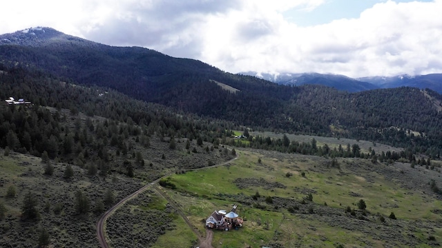 2879 Soft Rock Rd, Corvallis, MT 59828 - view of mountain backdrop featuring a forest