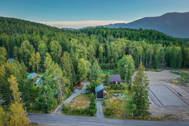 155 Seville Ln, Coram, MT 59913 - bird's eye view of a forest and a mountainous background