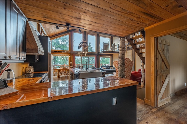 277 Ridge Loop Rd, Rexford, MT 59930 - kitchen featuring wooden ceiling, custom range hood, wood finished floors, a sink, and plenty of natural light