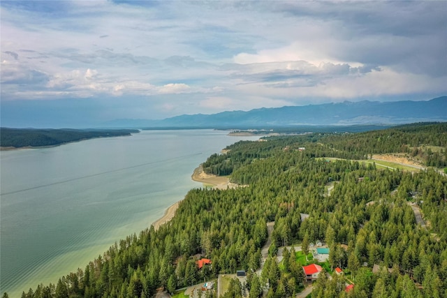 277 Ridge Loop Rd, Rexford, MT 59930 - bird's eye view of a forest and a water and mountain view