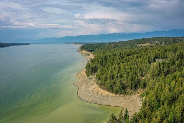 277 Ridge Loop Rd, Rexford, MT 59930 - aerial view of a water and mountain view and a forest