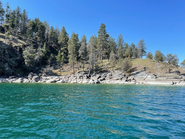 NHN Wild Horse Island Ln, Dayton, MT 59914