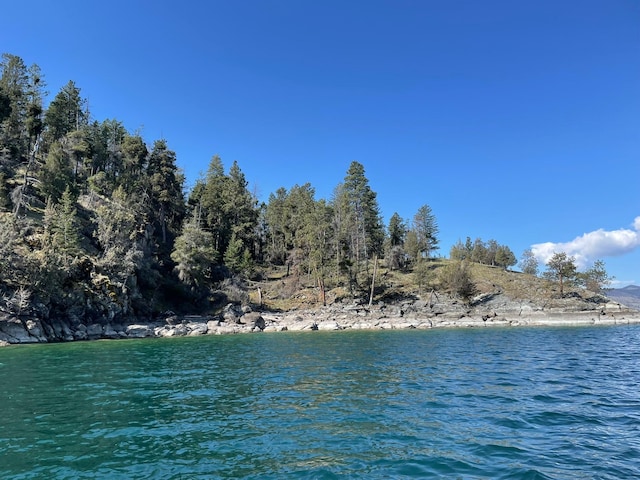 NHN Wild Horse Island Ln, Dayton, MT 59914