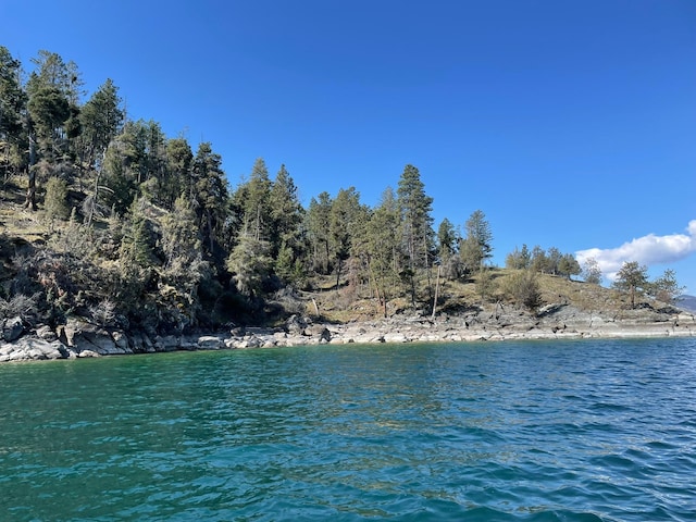 NHN Wild Horse Island Ln, Dayton, MT 59914
