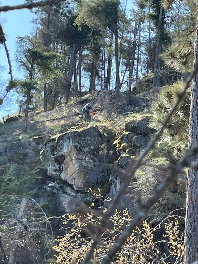 NHN Wild Horse Island Ln, Dayton, MT 59914