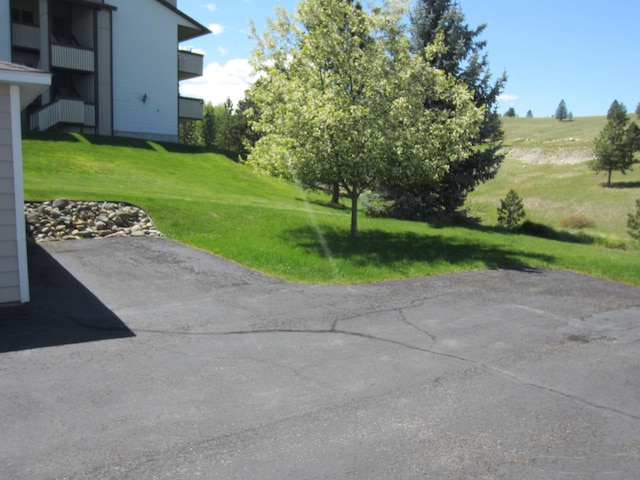 2220 Alpine Dr, Helena, MT 59601 - view of green lawn