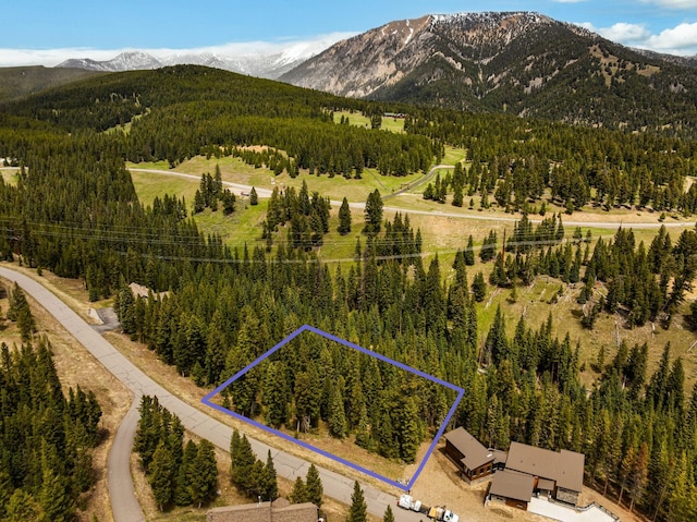 389 Antler Ridge Rd, Big Sky, MT 59716