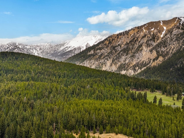389 Antler Ridge Rd, Big Sky, MT 59716