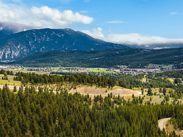 389 Antler Ridge Rd, Big Sky, MT 59716