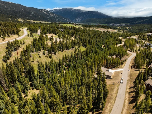 389 Antler Ridge Rd, Big Sky, MT 59716