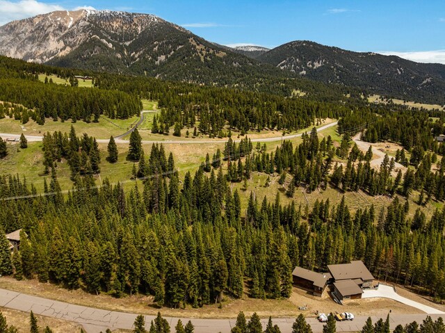 389 Antler Ridge Rd, Big Sky, MT 59716