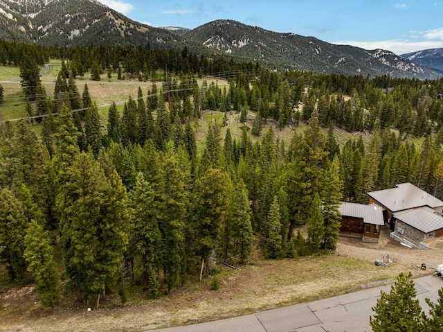 389 Antler Ridge Rd, Big Sky, MT 59716