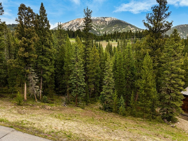 389 Antler Ridge Rd, Big Sky, MT 59716