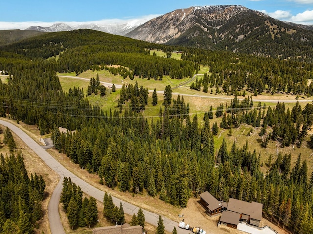 389 Antler Ridge Rd, Big Sky, MT 59716