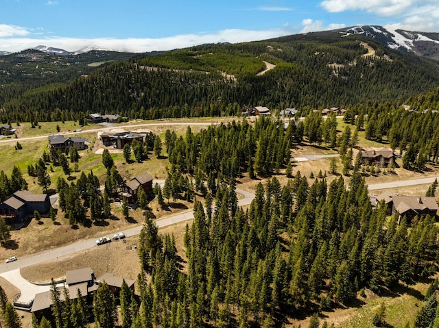 389 Antler Ridge Rd, Big Sky, MT 59716