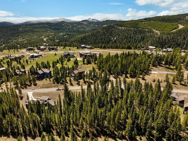 389 Antler Ridge Rd, Big Sky, MT 59716