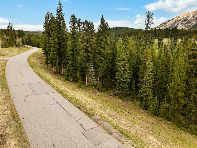 389 Antler Ridge Rd, Big Sky, MT 59716