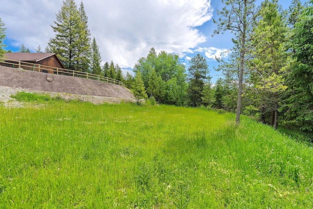 101 Little Mountain Rd, Whitefish, MT 59937 - view of yard