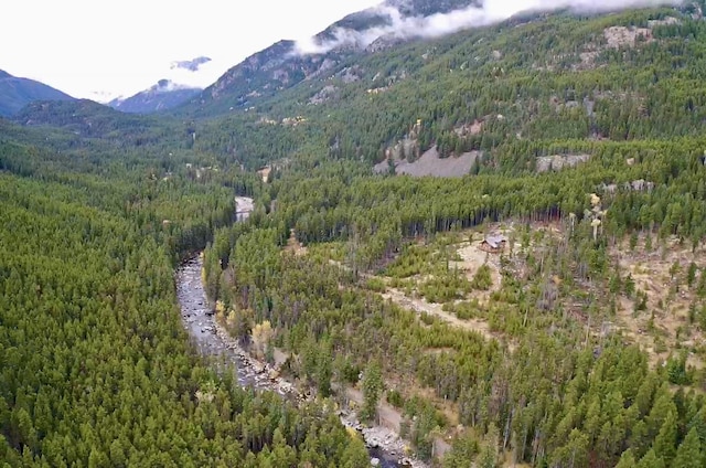 3966 Main Boulder Rd, Big Timber, MT 59011 - view of mountain backdrop featuring a forest