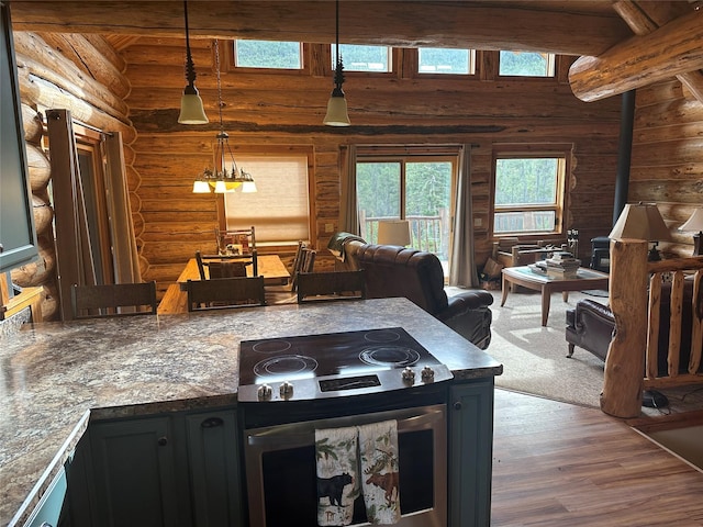 3966 Main Boulder Rd, Big Timber, MT 59011 - kitchen with stainless steel electric range, rustic walls, wood finished floors, hanging light fixtures, and a wood stove