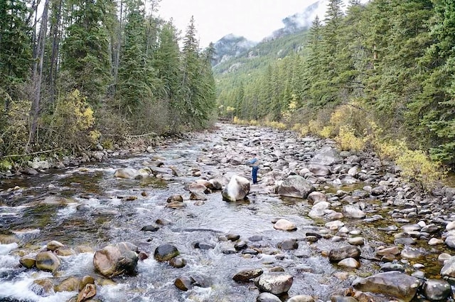 3966 Main Boulder Rd, Big Timber, MT 59011 - view of woods