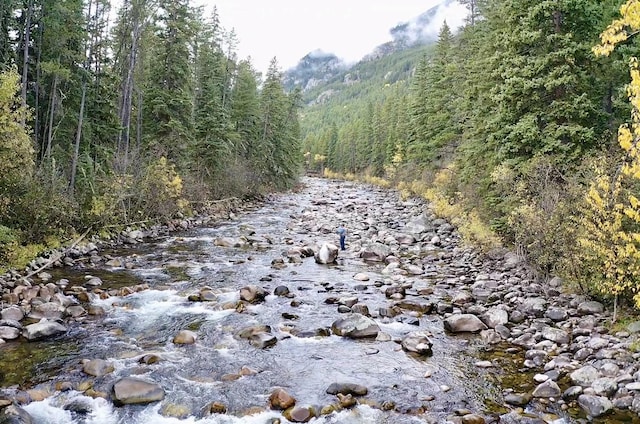 3966 Main Boulder Rd, Big Timber, MT 59011 - view of woods